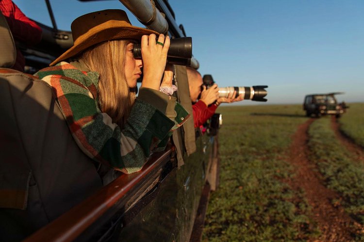Complete Safari Planning Guide to Kenya (2026 Edition)