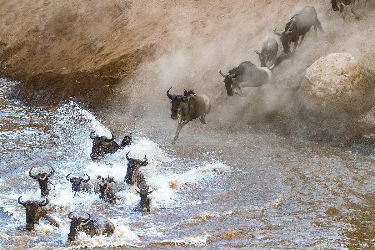 What is the Great Migration?