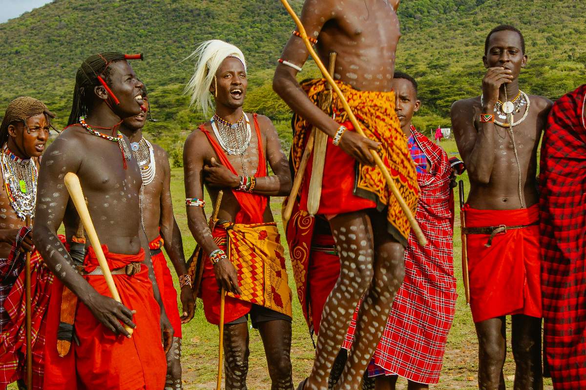 Maasai-krigere i røde shukas og perlesmykker udfører den springende Adumu-dans på Maasai Mara-sletten med grønne bakker i baggrunden.
