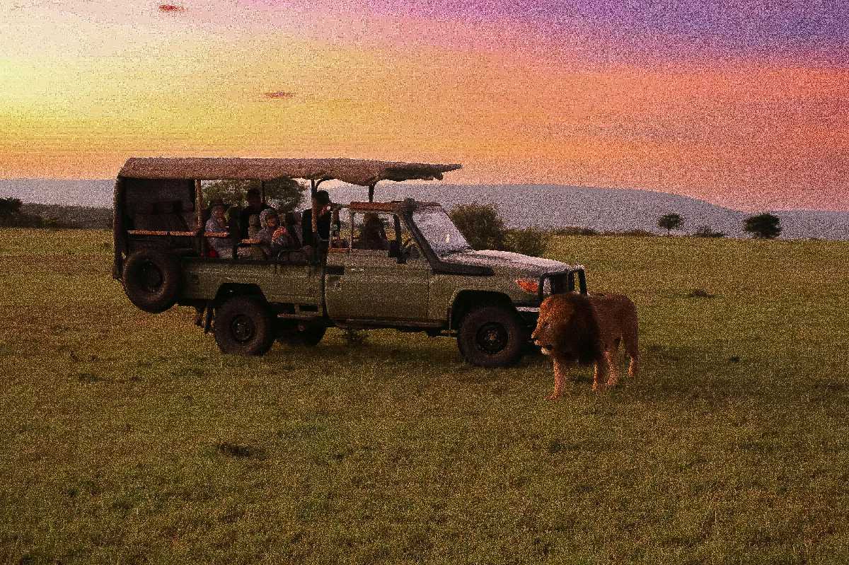 Touristen in einem offenen Safari-Jeep beobachten bei farbenprächtigem Sonnenuntergang einen Löwen auf der grasbewachsenen Savanne — Wählen Sie Ihren Safari-Reisestil