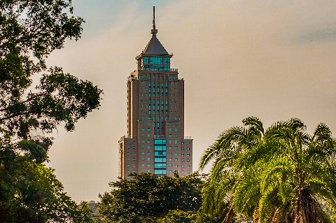 Tall city tower framed by lush trees and palms in a Nairobi park at sunset
