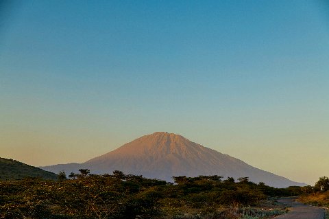 Mount Meru at dawn rising above the acacia savanna near Arusha, Tanzania.