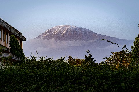 Mount Kilimanjaro's snow-topped dome rising above Moshi, framed by a weathered building and lush foreground vegetation