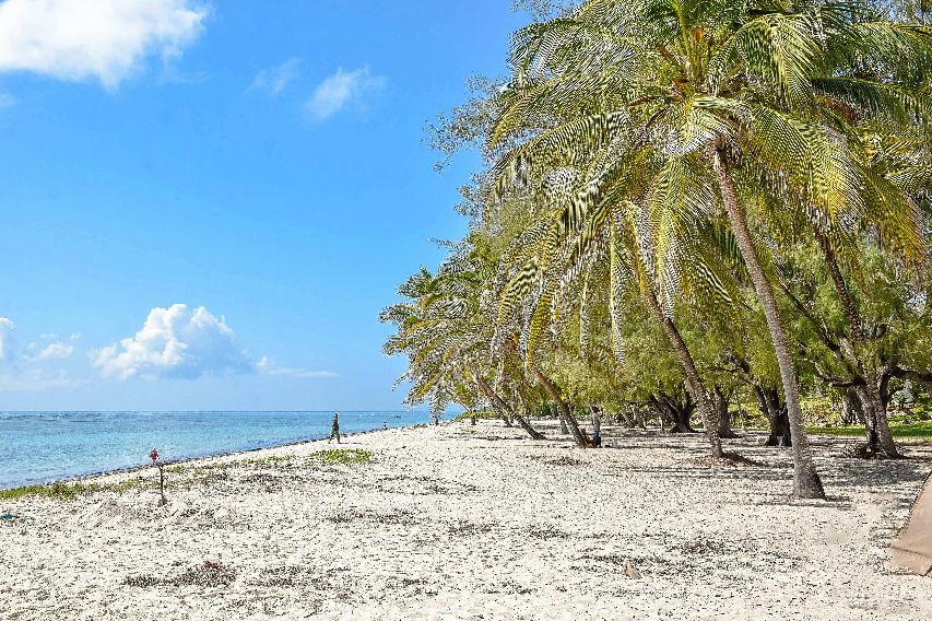 Spiaggia di Mombasa con palme inclinate, sabbia bianca e il calmo Oceano Indiano color turchese sotto un cielo azzurro intenso.