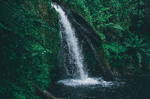 Waterfall dropping into a shaded pool among dense ferns in the Mount Kenya foothills near Nanyuki, Kenya