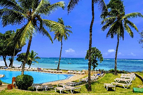Curved pool deck with rows of sun loungers and tall palms facing a turquoise ocean at a seaside resort