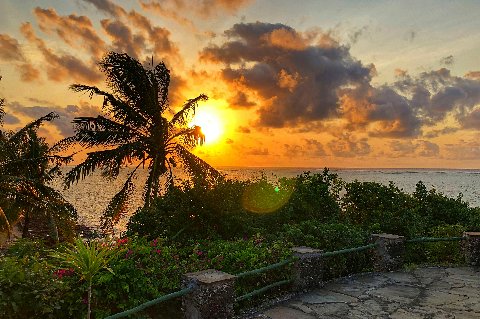 Golden sunset over the Indian Ocean with silhouetted palms and a rocky shoreline on Kenya's coast