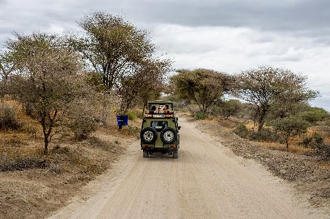 Safari 4x4 driving down a dusty track through dry acacia bushland in a Tanzania reserve