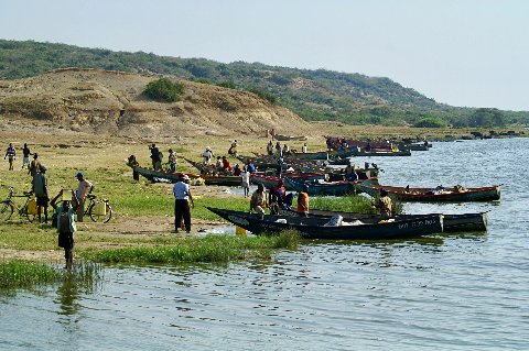 Fishermen and colorful wooden canoes lined along a Ugandan lakeshore with hills beyond