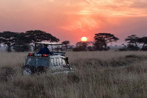 Open-roof safari vehicle silhouetted against a fiery sunset over Tanzania's acacia savannah