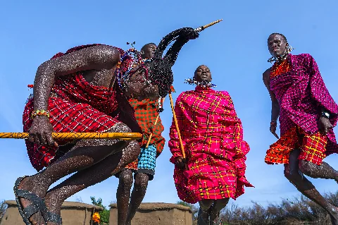 Guerrieri Maasai in shuka rosso vivo che eseguono la tradizionale danza del salto in alto sotto un cielo azzurro e terso.