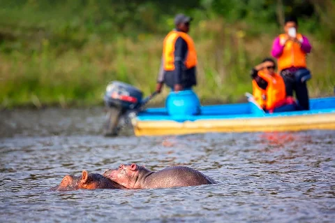 Ippopotami parzialmente sommersi vicino a una barca da turismo con guide e turisti che indossano giubbotti di salvataggio durante una gita in barca sul Lago Naivasha.
