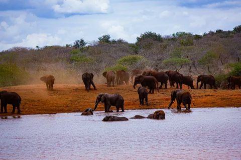 3-Day Tsavo East Safari from Malindi