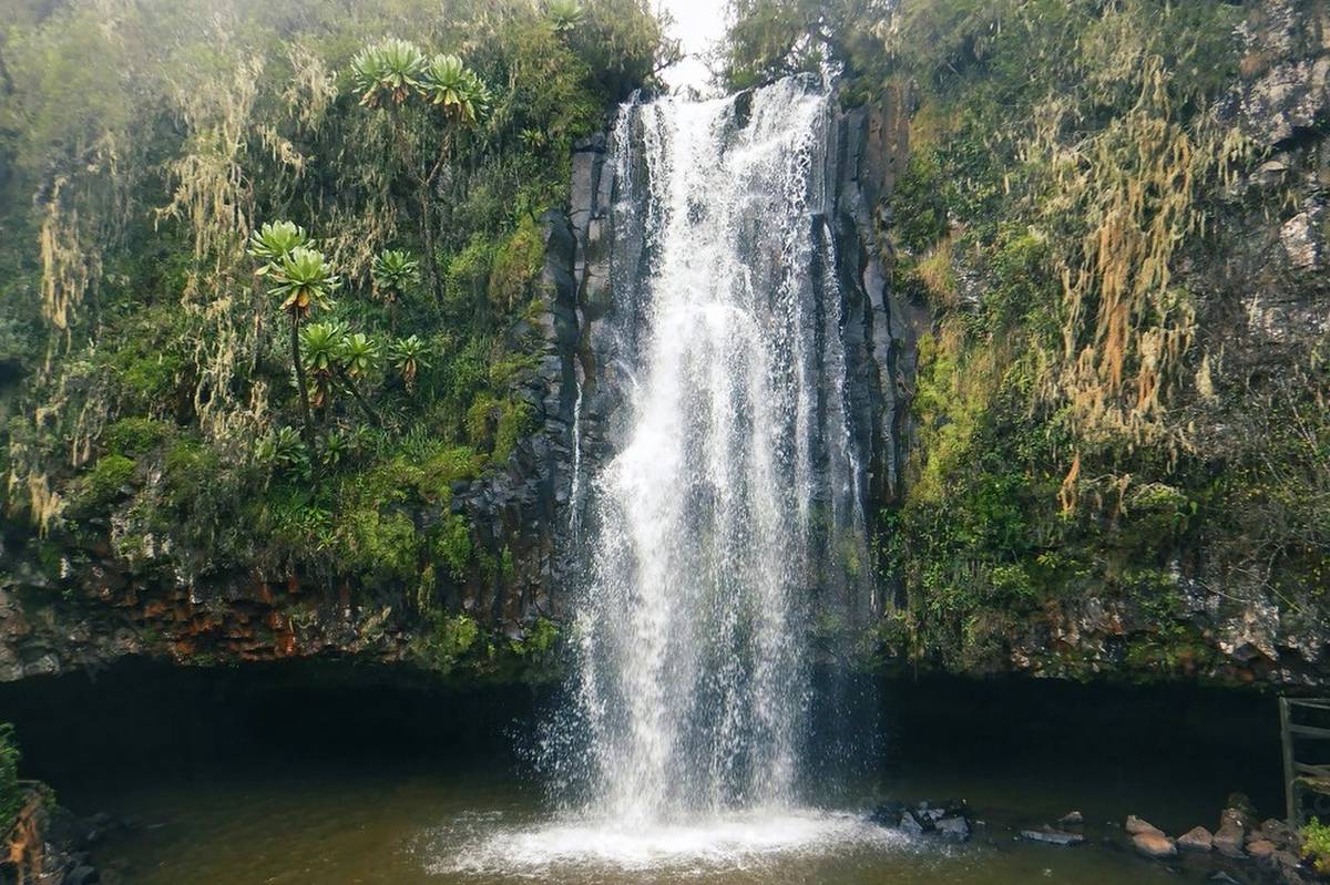 Cascata che si getta in una pozza boschiva nei nebbiosi altopiani degli Aberdare