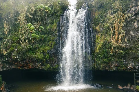 Cascata che si getta in una pozza boschiva nei nebbiosi altopiani degli Aberdare